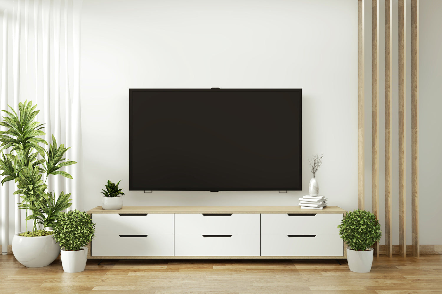 Television